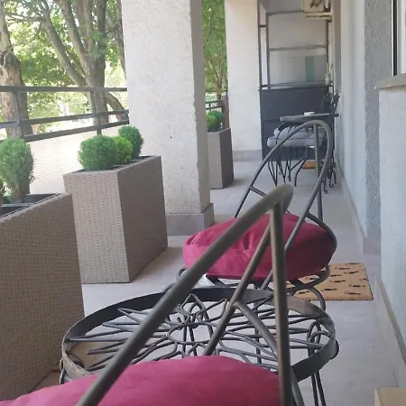 Kostas * 贝尔格莱德